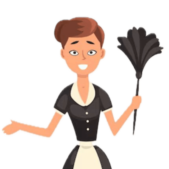 Easy Maids Logo